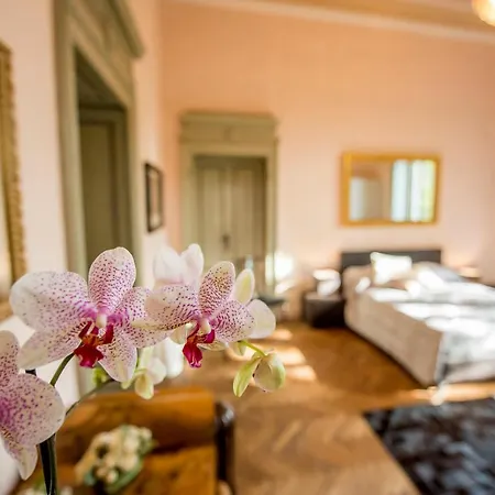 Sleeps 12 Pool